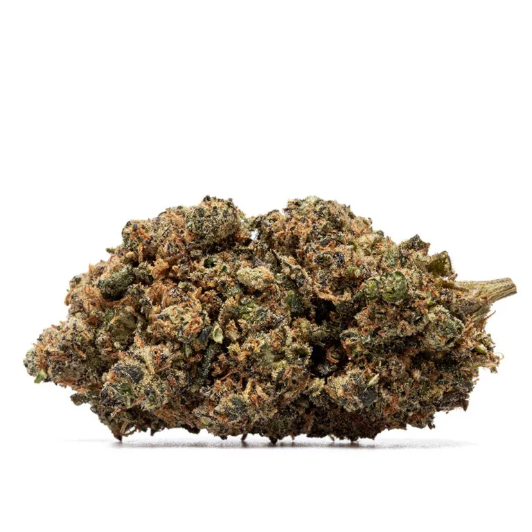 BUBBLE GUM – THX - Image 3