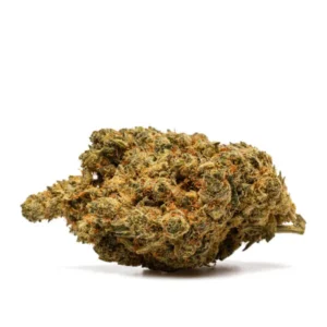 AMNESIA THX