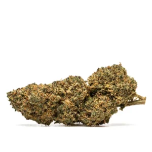 ZOOKIES THX